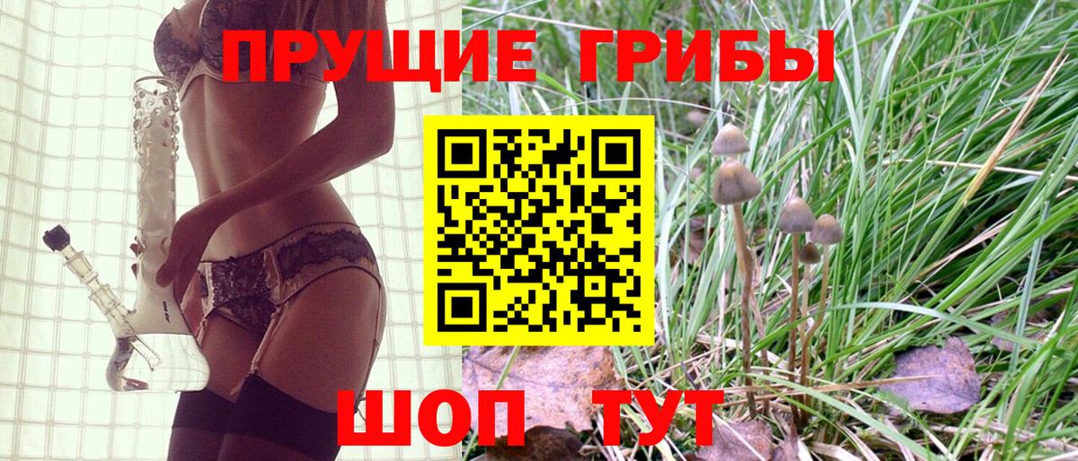 Бошки Шишки Чапаевск