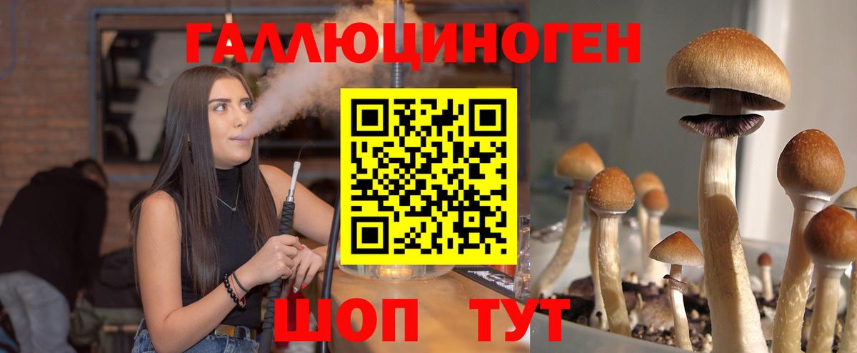Псилоцибиновые грибы прущие грибы Чапаевск